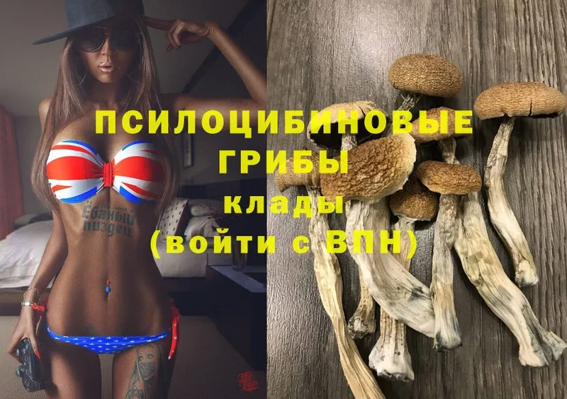 Галлюциногенные грибы Magic Shrooms  ОМГ ОМГ вход  Вытегра  наркотики 